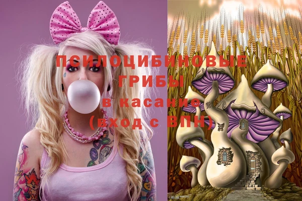 МДМА Кукмор