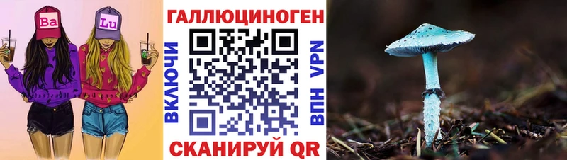 Псилоцибиновые грибы Cubensis  Торопец 